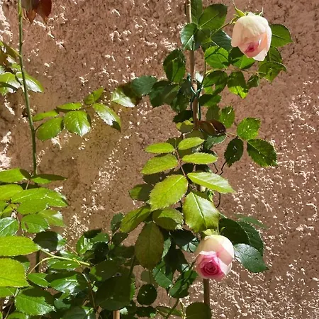 Appartement Jardin 5 Mn Monaco Air Conditioner